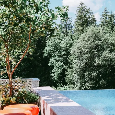 Seebichl Adults Only Designhotel - Pool & Dine 3* Kitzbuhel