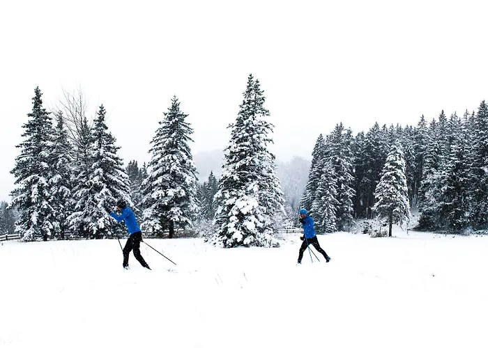 Seebichl Adults Only Designhotel - Pool & Dine 3*